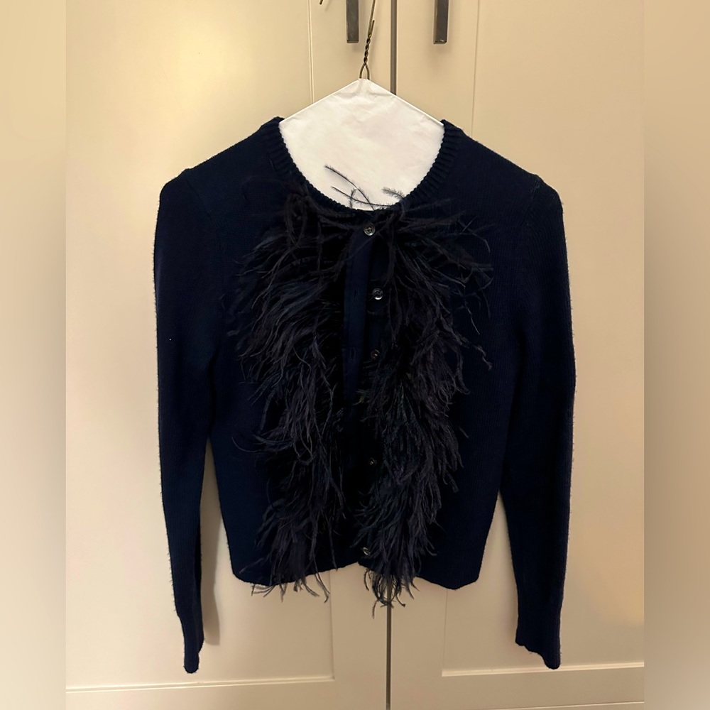 Beautiful 100% Cashmere J. Crew Sweater with Feather Detailing-Front Sweater